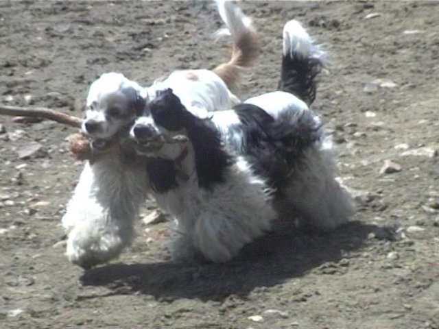 spoluprace