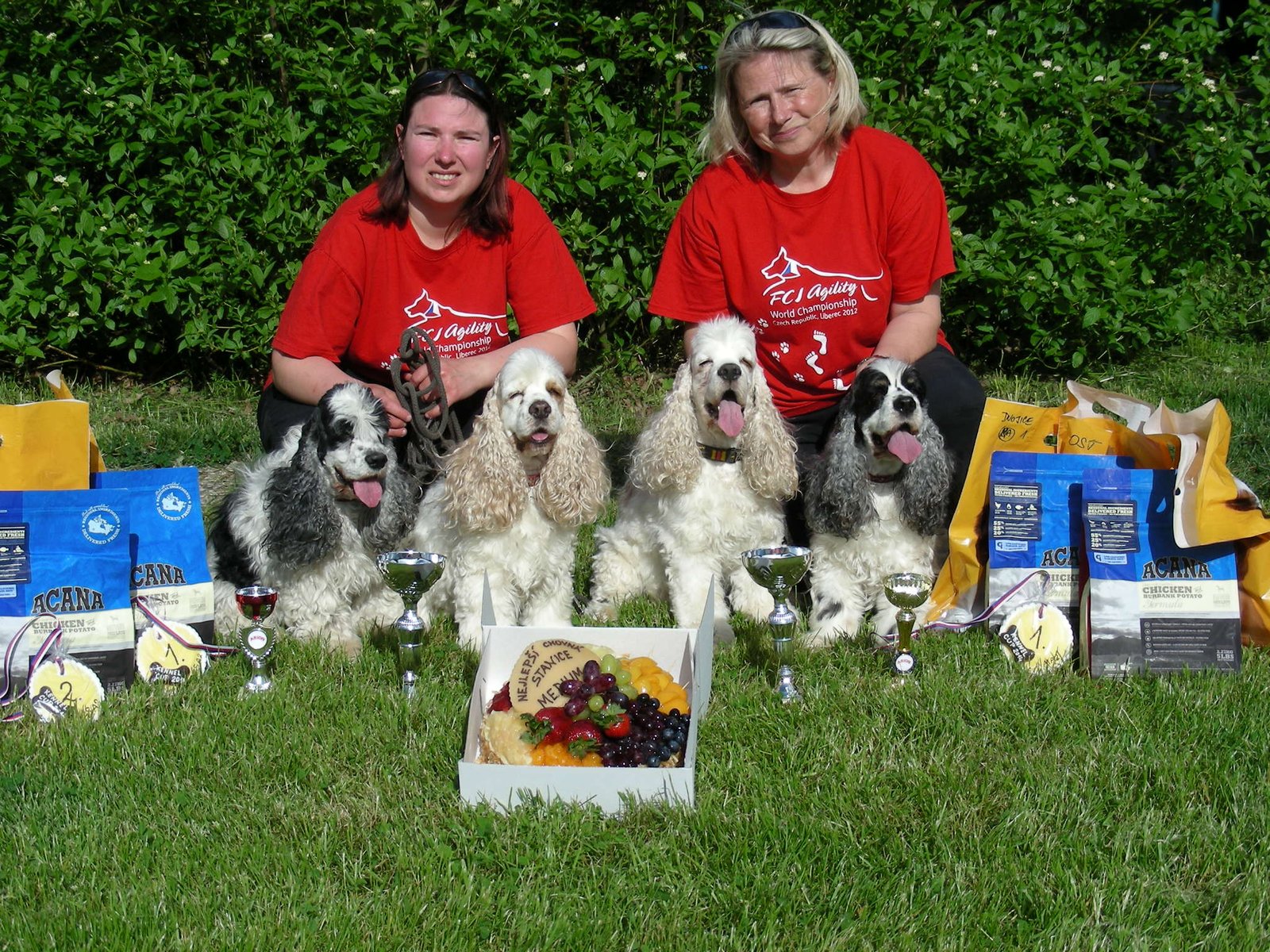 Kennel Cup 2014